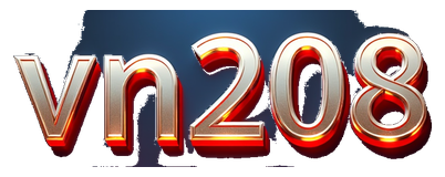 vn208 logo